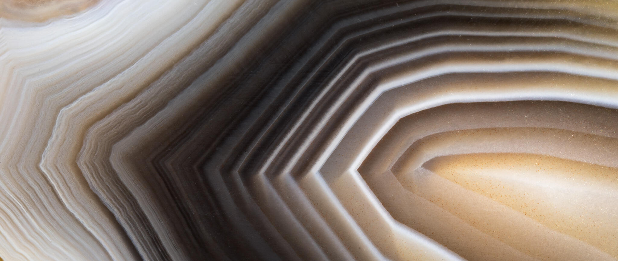 Macro of agate stone with layered concentric bands in gray, tan, and cream.