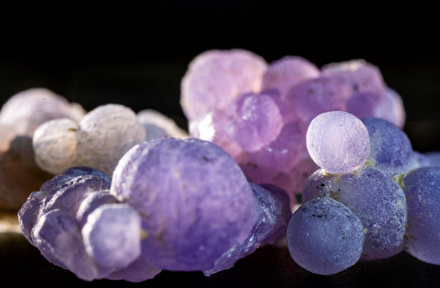 Close-up of grape agate showing spherical formations in soft purple and violet tones.