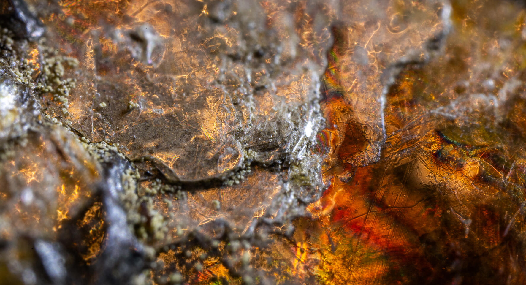 Close-up of iron oxide mineral showing mottled rust, orange, and brown tones.