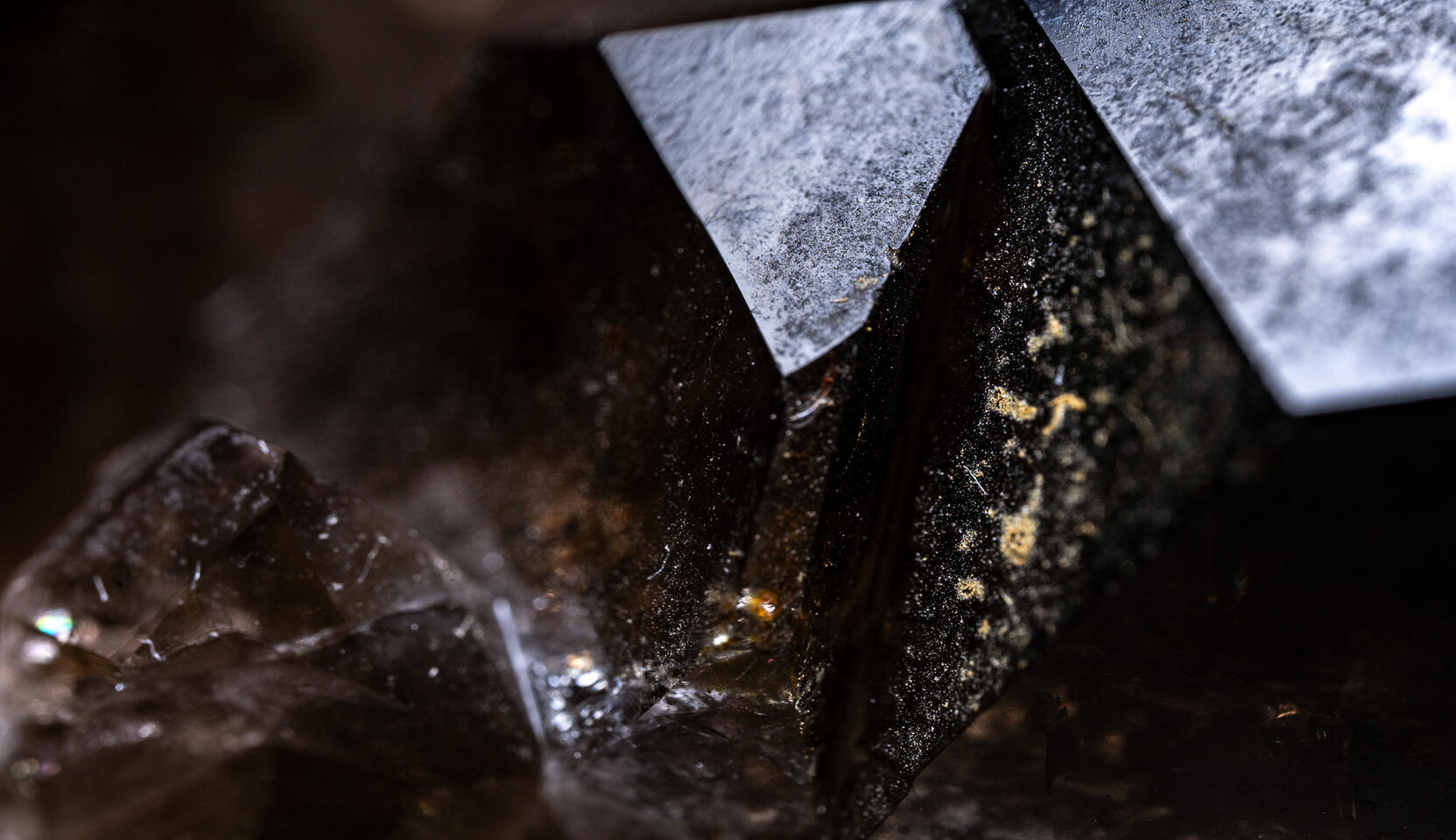Macro of smoky quartz crystal showing sharp dark facets with scattered golden mineral inclusions.